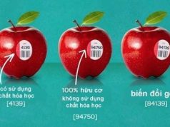 Bạn Có Biết Ý Nghĩa Các Con Số Dán Trên Trái Cây Nhập Khẩu Bạn Có Biết Ý Nghĩa Các Con Số Dán Trên Trái Cây Nhập Khẩu 11
