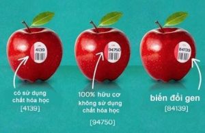 Bạn Có Biết Ý Nghĩa Các Con Số Dán Trên Trái Cây Nhập Khẩu Bạn Có Biết Ý Nghĩa Các Con Số Dán Trên Trái Cây Nhập Khẩu 11