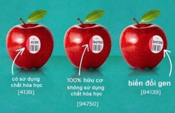 Bạn Có Biết Ý Nghĩa Các Con Số Dán Trên Trái Cây Nhập Khẩu Bạn Có Biết Ý Nghĩa Các Con Số Dán Trên Trái Cây Nhập Khẩu 11