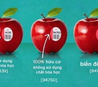 Bạn Có Biết Ý Nghĩa Các Con Số Dán Trên Trái Cây Nhập Khẩu Bạn Có Biết Ý Nghĩa Các Con Số Dán Trên Trái Cây Nhập Khẩu 11