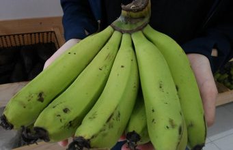 Cách chọn chuối ngon ít người để ý cách chọn chuối ngon ít người để ý 01