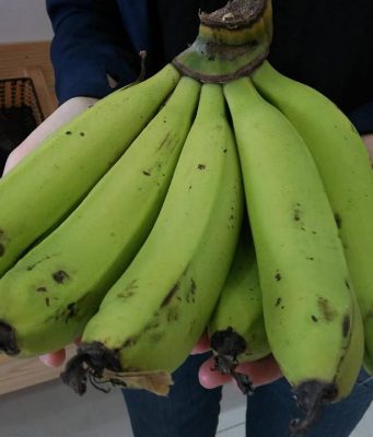 Cách chọn chuối ngon ít người để ý cách chọn chuối ngon ít người để ý 01