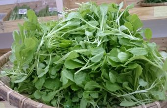 Rau mầm cải xanh nấu tôm