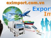 Khóa học Xuất nhập khẩu, thực hành thực tế. Khóa học Xuất nhập khẩu, thực hành thực tế. 06