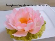 Khóa học cắt tỉa rau củ quả tại Tp.hcm