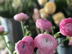 Khóa học cắm hoa tươi nghệ thuật mở shop kinh doanh tại Tphcm