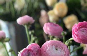 Khóa học cắm hoa tươi nghệ thuật mở shop kinh doanh tại Tphcm