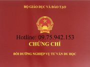 Khóa học nghiệp vụ tư vấn du học tại TPHCM