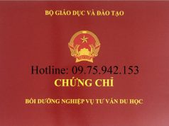 Khóa học nghiệp vụ tư vấn du học tại TPHCM