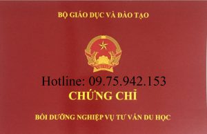 Khóa học nghiệp vụ tư vấn du học tại TPHCM