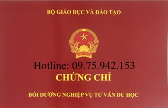 Khóa học nghiệp vụ tư vấn du học tại TPHCM