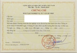 Chứng chỉ tư vấn du học online