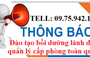 Khóa học bồi dưỡng nghiệp vụ lãnh đạo quản lý cấp phòng Khóa học bồi dưỡng nghiệp vụ lãnh đạo quản lý cấp phòng